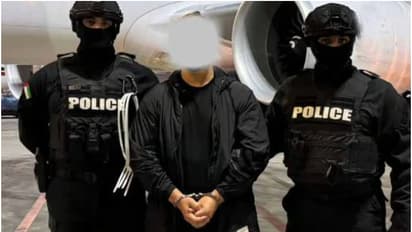 international suspects