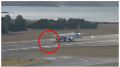 While landing in Alaska the plane hit multiple deer