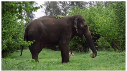 Mahadevi the elephant