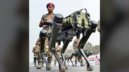 Indian Armed Forces' Special Forces will be tasked with range of high-impact missions against enemy