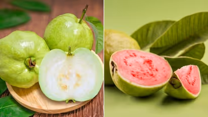 white guava or red guava 