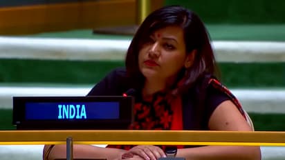'Absurd Theatrics': Indian Diplomat Petal Gahlot on Shehbaz Sharif's UNGA Speech
