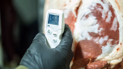   thermometers in meat sales centers