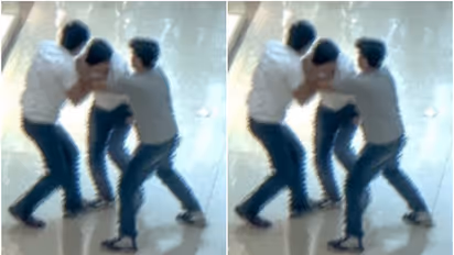 brawl in shopping mall