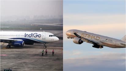 indigo, etihad airways 