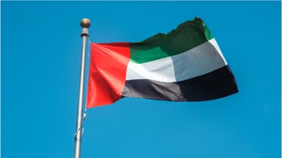 uae flag 