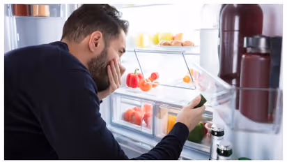 Fridge