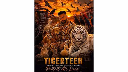 Tigerteeh Rescue