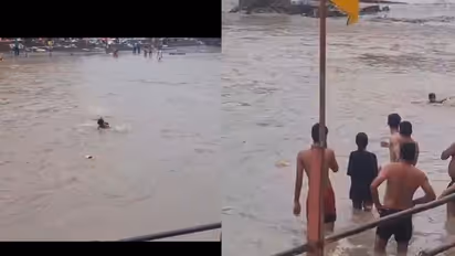 Viral Rescue Video: SDRF Jawan's Split-Second Rescue Saves Kanwariya From Ganga Waters (WATCH)