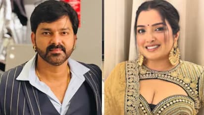 Is Amrapali Dubey In Love With Pawan Singh? Bhojpuri Actress Proposes To Singer: 'Milkar Bachche Ko Paal Lenge'