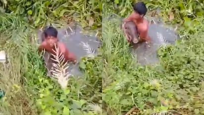 14-Year-Old Takes on Wild Boar in Odisha, Survives After Dramatic Rescue | WATCH Viral Video