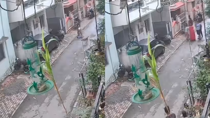Pune Horror Caught on Camera: Stray Dog Attacks Woman Carrying Toddler in Pune, Child Falls to Ground | WATCH