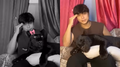Man Claims Pet Black Panther Reacts to ‘Maggie’; Netizens Wonder, ‘VFX or Real?’ — WATCH