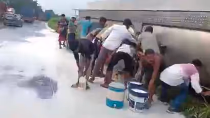 Viral Video | Milk Tanker Overturns on Mumbai-Ahmedabad Highway, Locals Rush With Bottles to Collect It (WATCH)