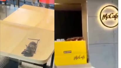 Rats Spotted in McDonald’s Dining Area in Gujarat, Outlet Fined Rs 3,000 | WATCH Viral Video