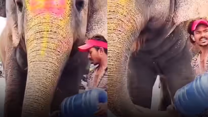 Man Gives Water to Thirsty Elephant, Simple Act of Kindness Wins Hearts: ‘Bappa Will Bless You’