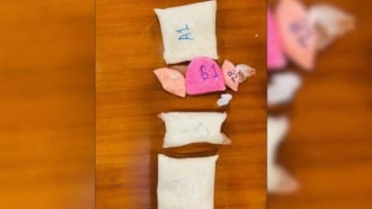 Drugs seized from bag