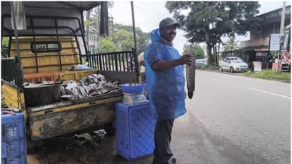 Wayanad fish market