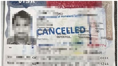 h1b visa revoked