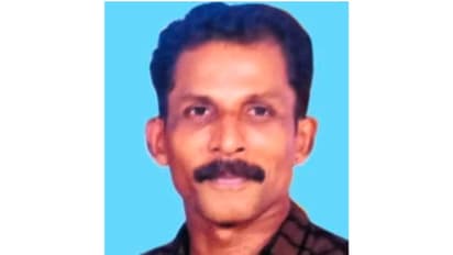 Wood fell on head while carrying