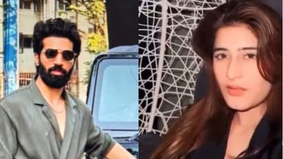 chartered accountant ended life