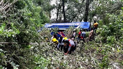 Bus Carrying Gujarat Pilgrims Falls Into Gorge