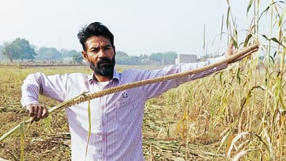 Aligarh farmer success story