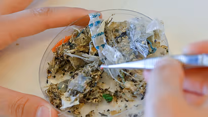 Microplastics