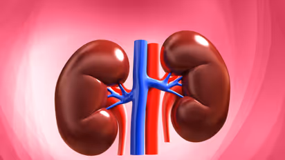 Kidney Failure