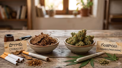 Ganja vs Cannabis(പ്രതീകാത്മക എഐ ചിത്രം)