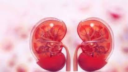 Kidney health