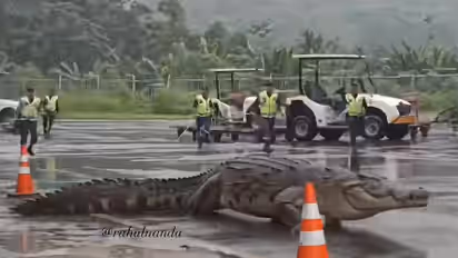 Viral Video