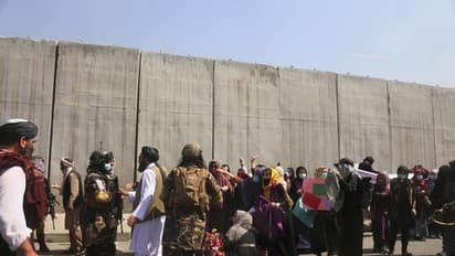 Taliban pregnant woman murder, Afghanistan female cruelty, female cruelty, Taliban in Afghanistan, Taliban brutality, Taliban latest news