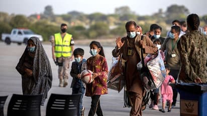 Taliban terror in Afghanistan, classes in university are divided between boys and girls