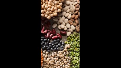 5 Dry Fruits Can Weight Loss and Shed Kilos