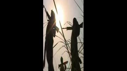 Jharkhand Naxalites Jharkhand Naxalites