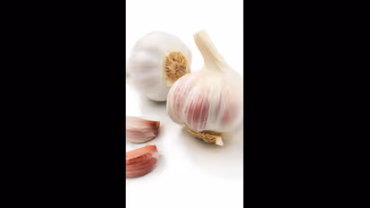 garlic