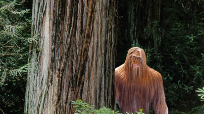 Is Bigfoot Real? Drink Company Offers $1 Million For Definitive Proof