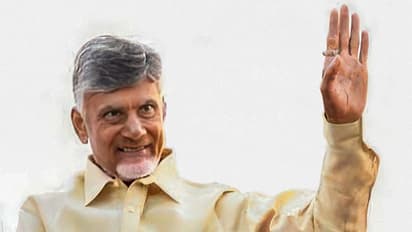 Andhra Pradesh CM Chandrababu Naidu (File Photo/@ncbn)