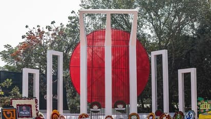 International Mother Language Day