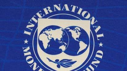 IMF