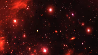 Little red dots in early universe