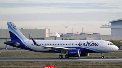 IndiGo
