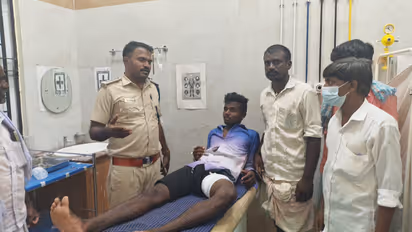 shepherd injured in crocodile attack