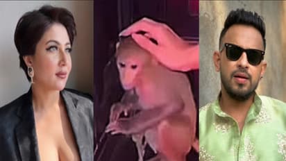 monkey swastika mukherjee anindya chatterjee