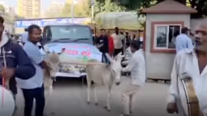 Man Tows Mahindra Thar With Donkeys In Protest