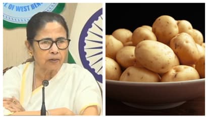 CM Mamata Banerjee said the reason for the increase in potato prices bsm