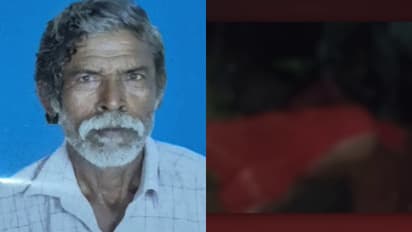 wild elephant attack death