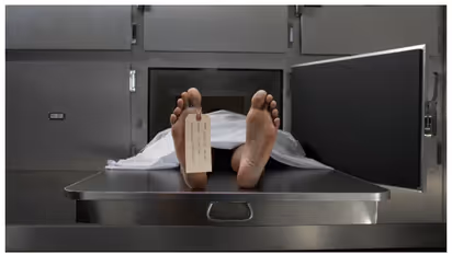 dead body