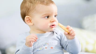 baby eating Biscuits